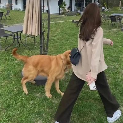 花溪记